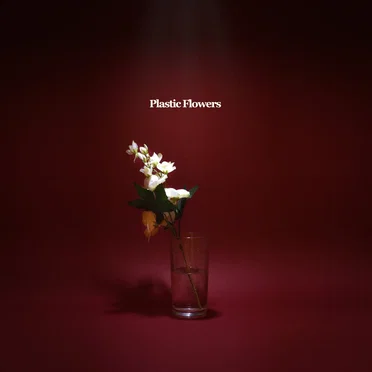 Plastic Flowers by Pentire - album cover