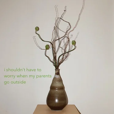 I Shouldn't Have to Worry When My Parents Go Outside