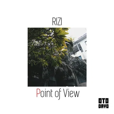 Point of View by Rizi - album cover
