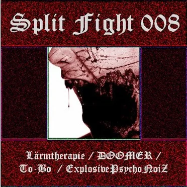 Split Fight 008