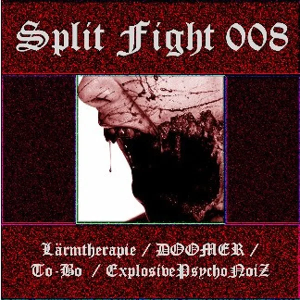 Split Fight 008