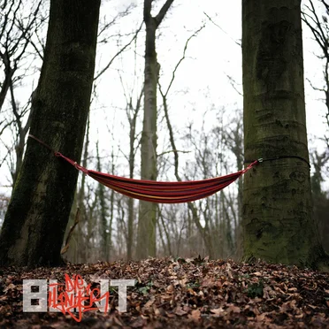 Bunt by Die Hänger - album cover