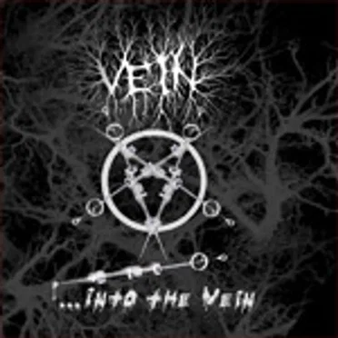 ...into the Vein by Vein - album cover