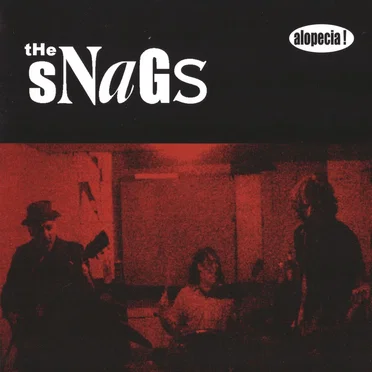 The Snags