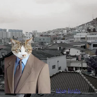 THE VIRTUAL PAVILION PRESENTS: セルフポートレートPNG