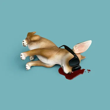 Lo Tom by Lo Tom - album cover
