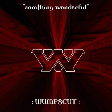 :Somthing Wonderful: