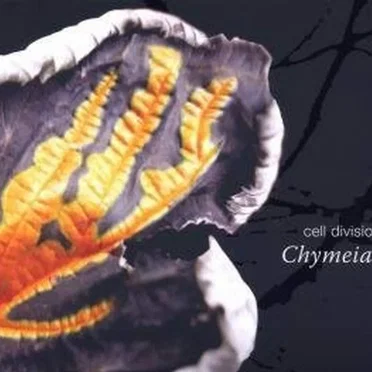 Chymeia by Cell Division - album cover