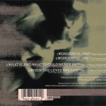 Wonderful One