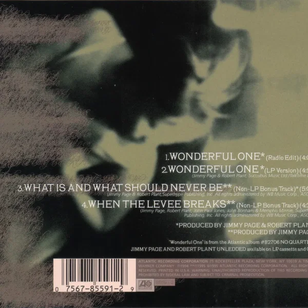 Wonderful One