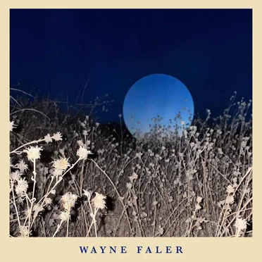 Wayne Faler by Wayne Faler - album cover