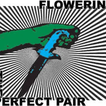 The Perfect Pair by Flowering Blight - album cover