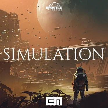 Simulation