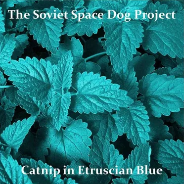Catnip in Etruscan Blue