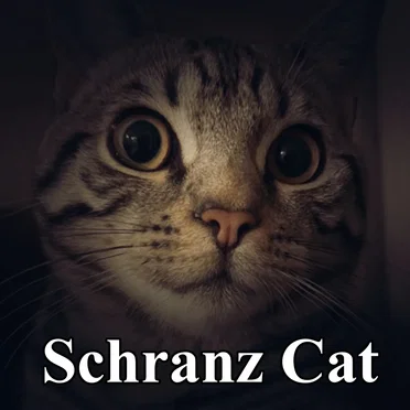 Schranz Cat