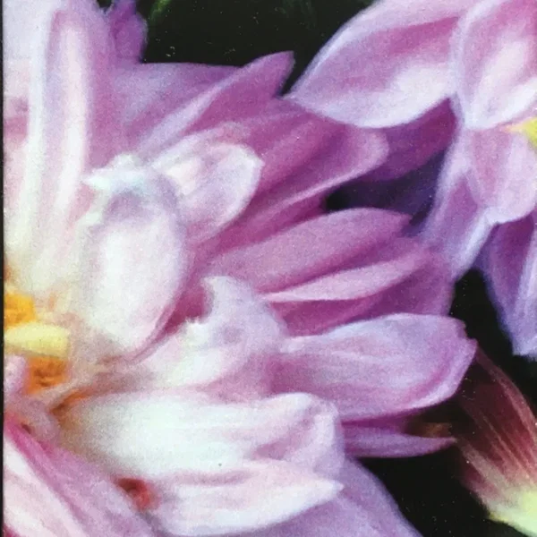 N Vaporates an Orchestra