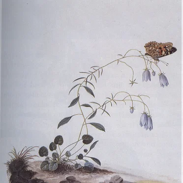 I: The Suicide Tree / II: A Rose From the Dead