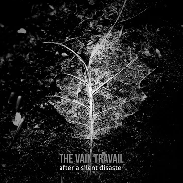 After a silent disaster