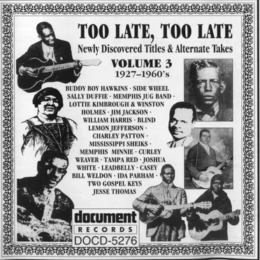Too Late, Too Late: Newly Discovered Titles & Alternate Takes, Volume 3 (1927-1960's) by Various Artists - album cover