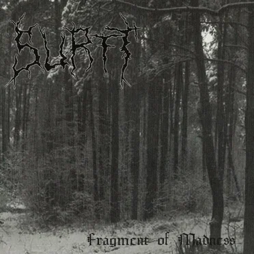 Fragment Of Madness by Surtt - album cover