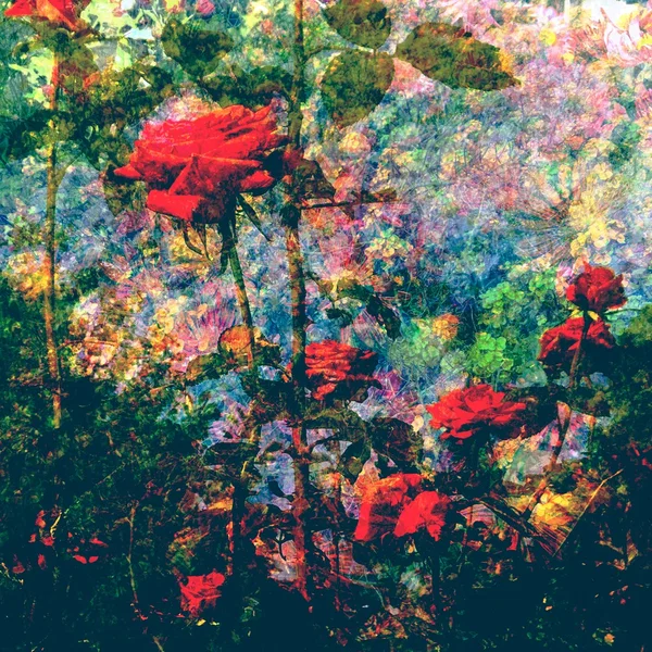 Light Road Record Dream
