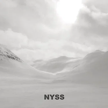Nyss