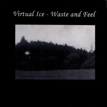 Waste and Feel by Virtual Ice - album cover