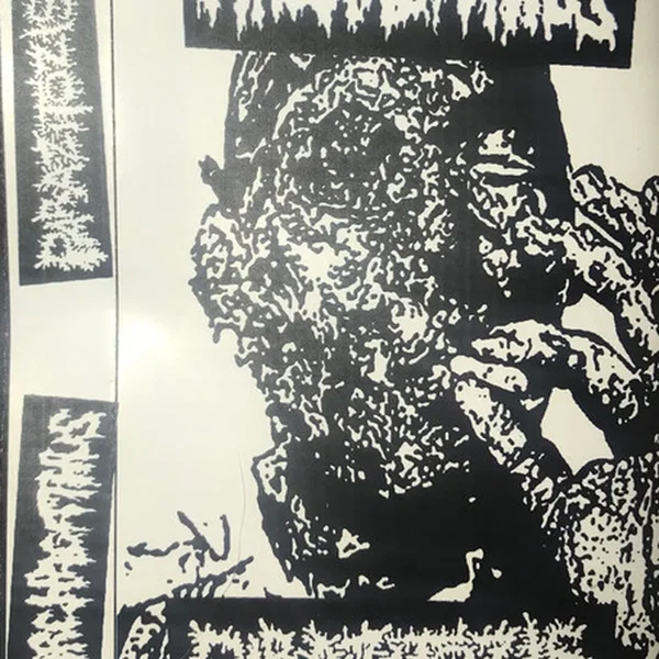 Archagathus / Parazitózis