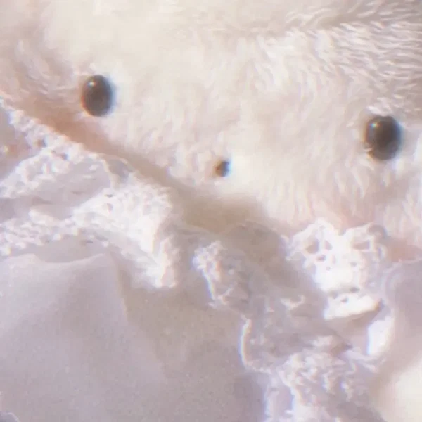 あたたか♡ゆ〜とぴあ
