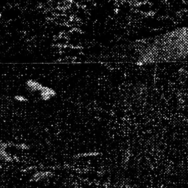 Quand La Négation Libère