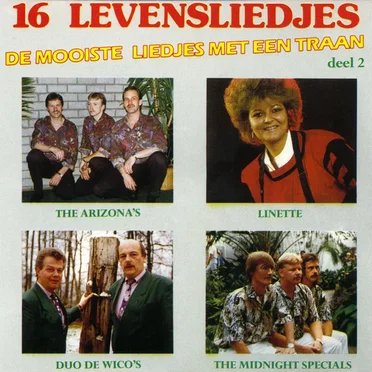 16 levensliedjes, deel 2 by Various Artists - album cover