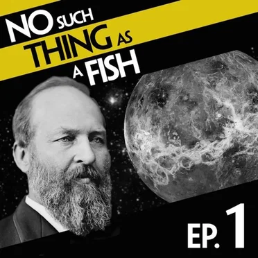 No Such Thing As A Fish #1, "No Such Thing As A Pilot Fish" by No Such Thing as a Fish - album cover