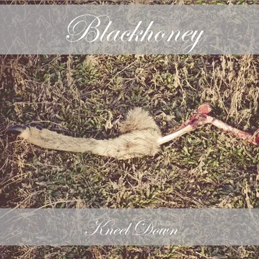 Kneel Down EP by Blackhoney - album cover