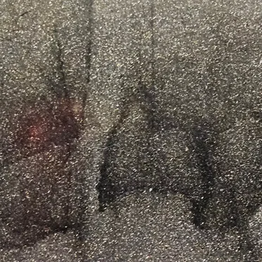 Pareidolia by The Utter - album cover
