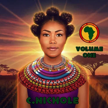 PAN AFRICAN THINK TANK VOL. 1