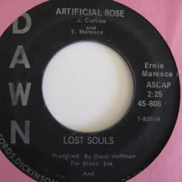 Artificial Rose by The Lost Souls - album cover