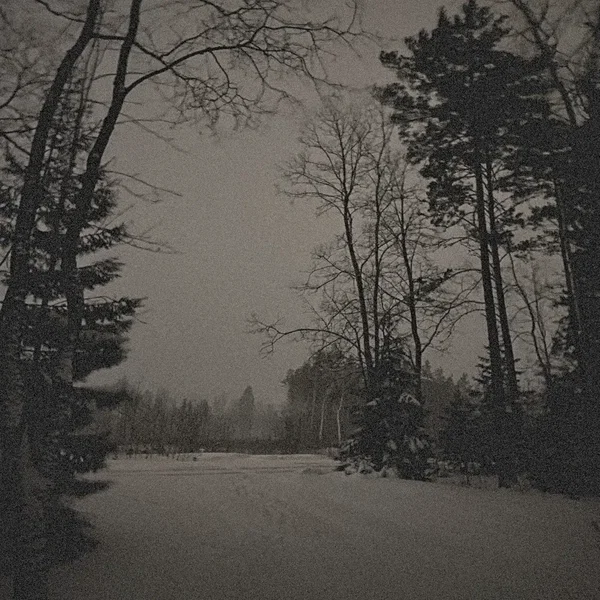 Snow Falling