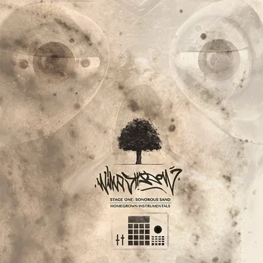 Stage One: Sonorous Sand by Windshadow - album cover