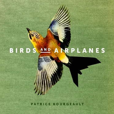 Birds and Airplanes