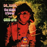 Dr. John artist image