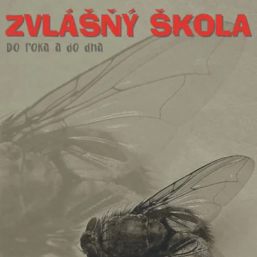 Do roka a do dna by Zvlášňý škola - album cover