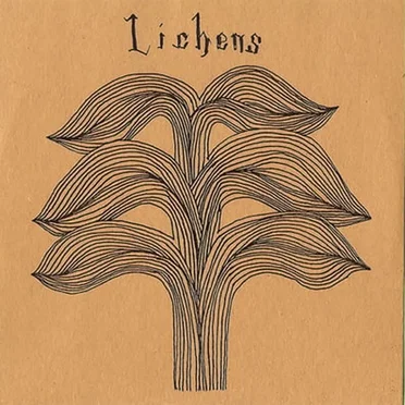 Lichens