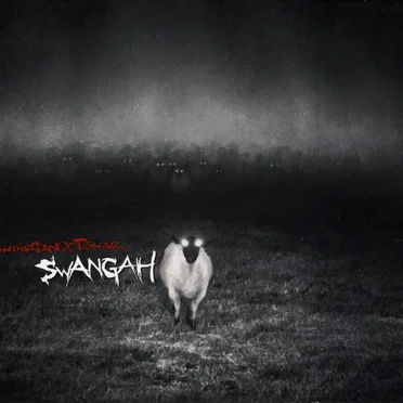 Undirgangstónar by Swangah - album cover