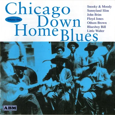 Chicago Down Home Blues, Volume One by Various Artists - album cover