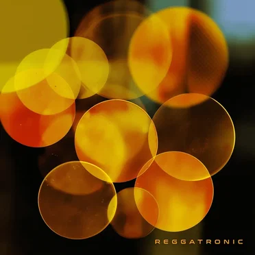 Cardamom by Reggatronic - album cover