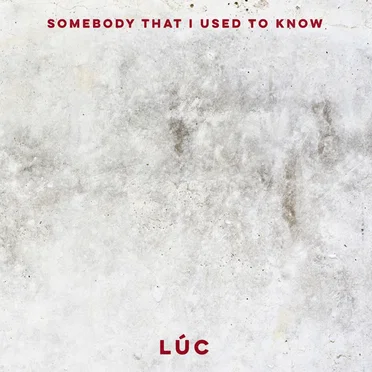 Somebody That I Used To Know by Lúc - album cover