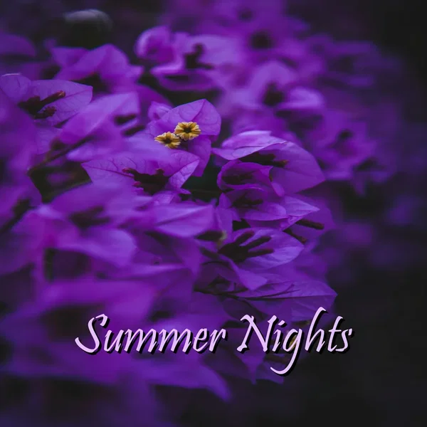 Summer Nights