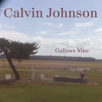Calvin Johnson artist image