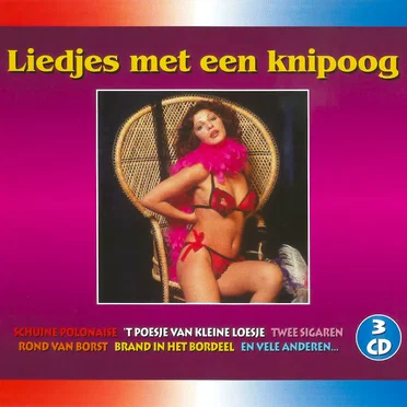 Liedjes met een knipoog by Various Artists - album cover