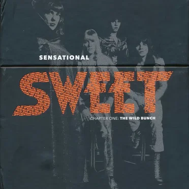 Sensational Sweet: Chapter One The Wild Bunch